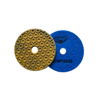 Алмазний шліфувальний диск (черепашка) 100 мм №50 STEELRING (DUMP100/50)